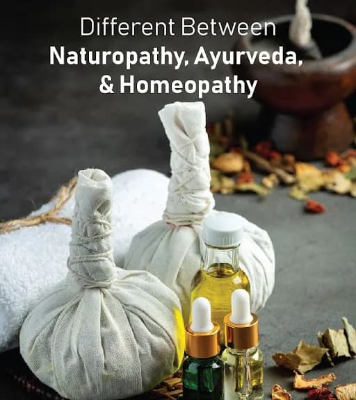 Difference Between Naturopathy, Ayurveda, & Homeopathy