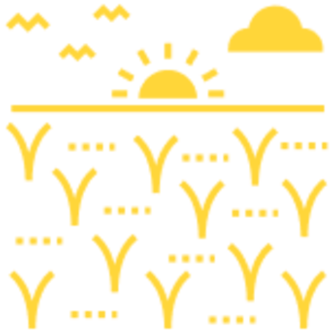 heliotherapy